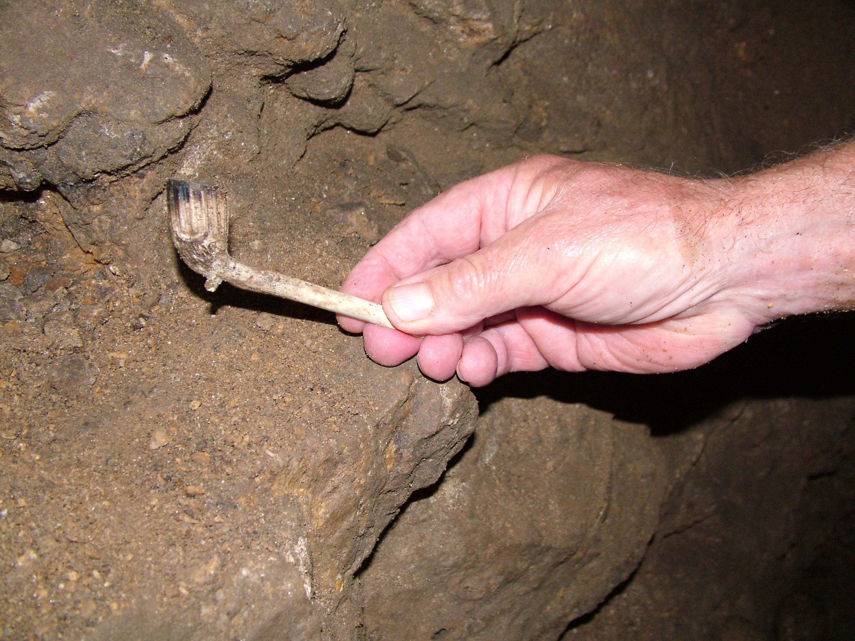 Clay pipe at the moon dig